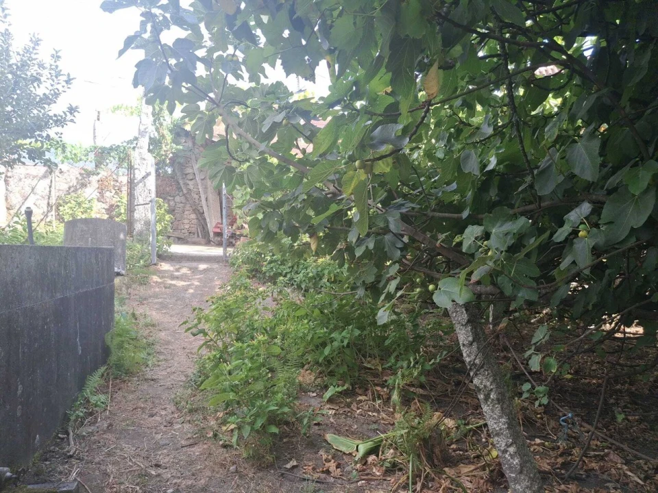 Moradia T4 para Venda em Barbeita Foto 50