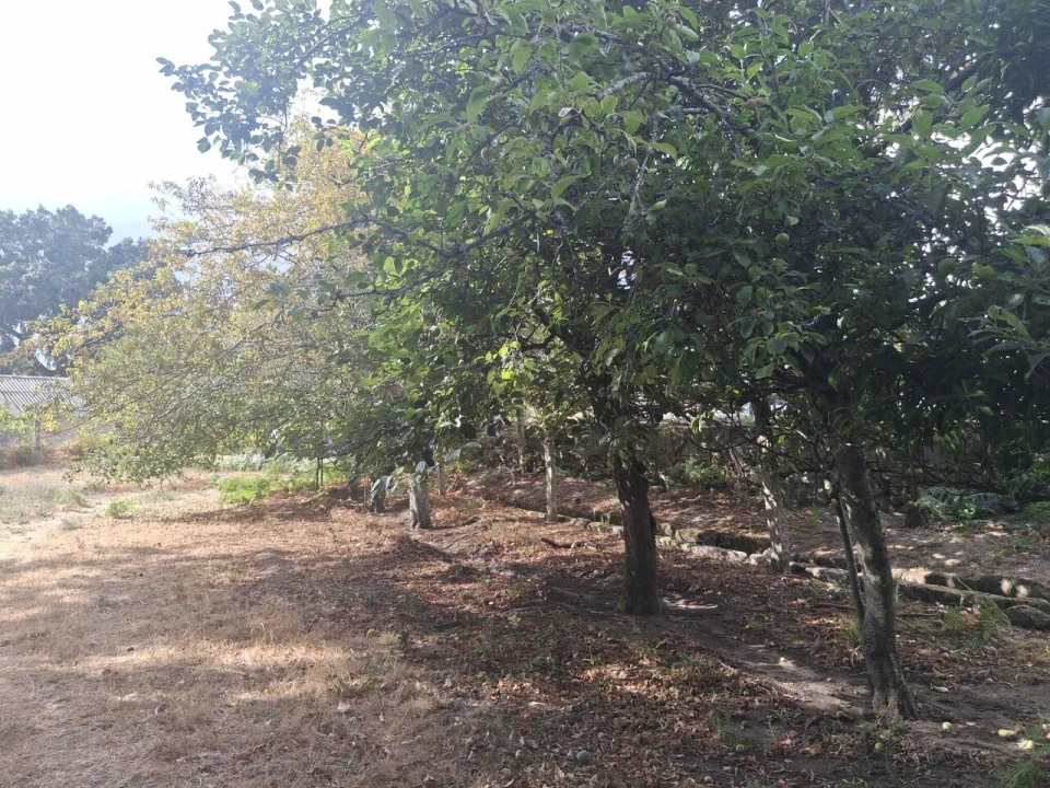 Moradia T4 para Venda em Barbeita Foto 52