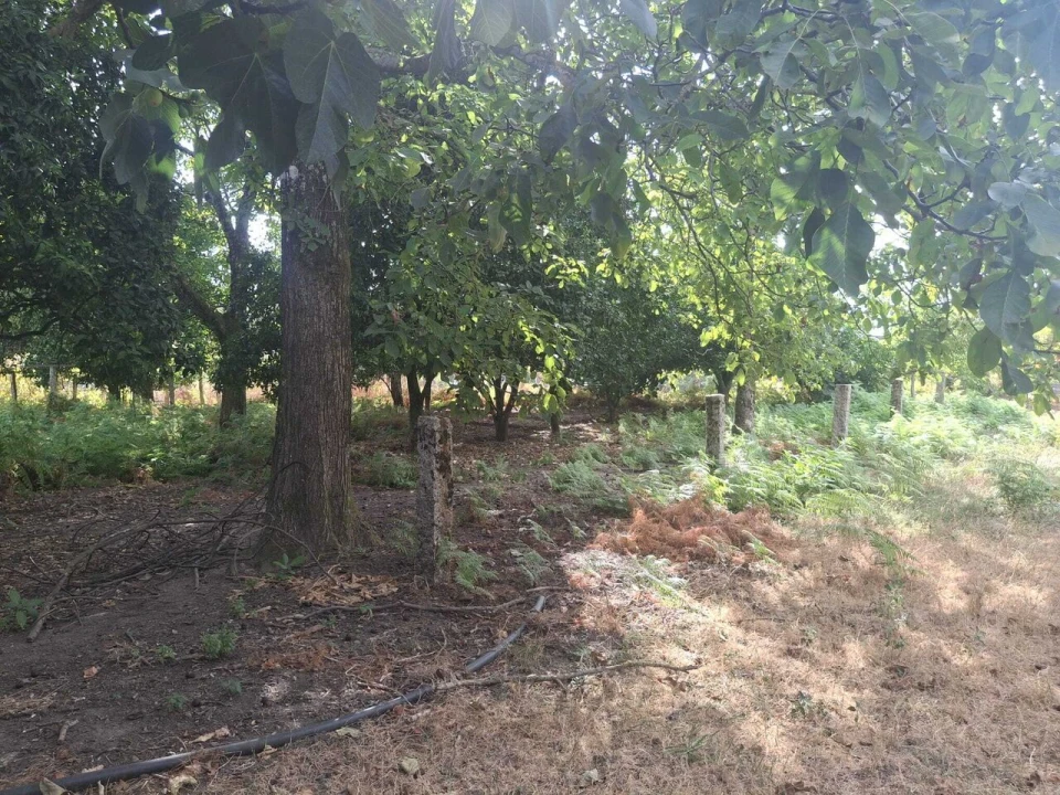 Moradia T4 para Venda em Barbeita Foto 57