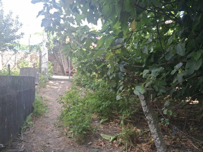 Moradia T4 para Venda em Barbeita Foto 50