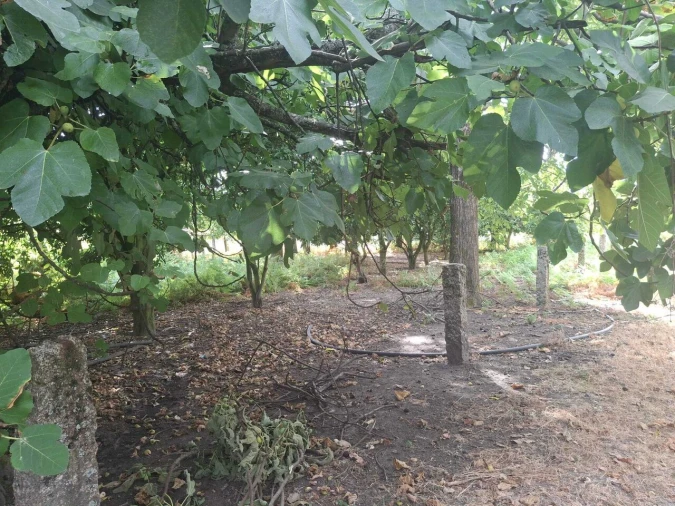 Moradia T4 para Venda em Barbeita Foto 55