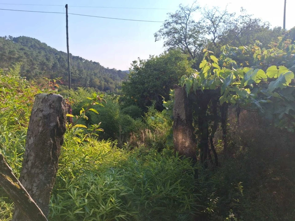 Moradia T7 para Venda em Riba de Mouro Foto 36