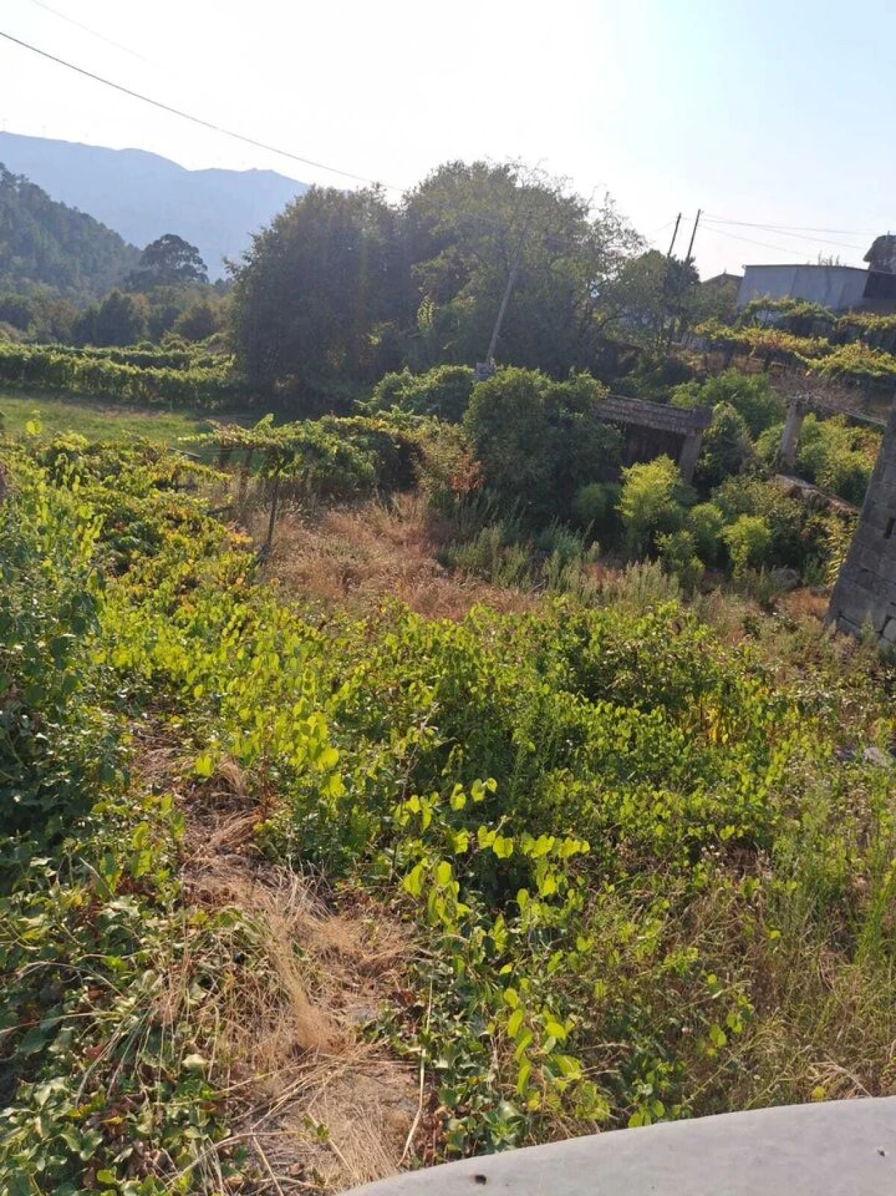 Moradia T7 para Venda em Riba de Mouro Foto 50