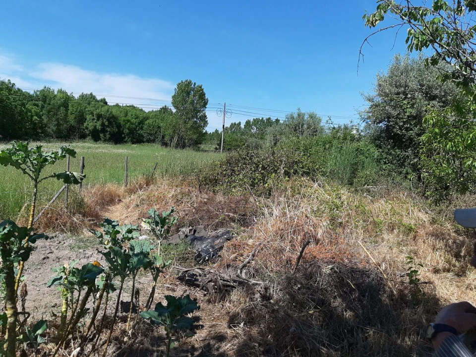 Terreno para Venda em Canas de Senhorim Foto 1