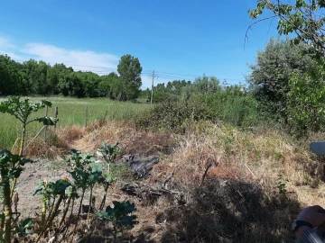 Terreno para Venda em Canas de Senhorim