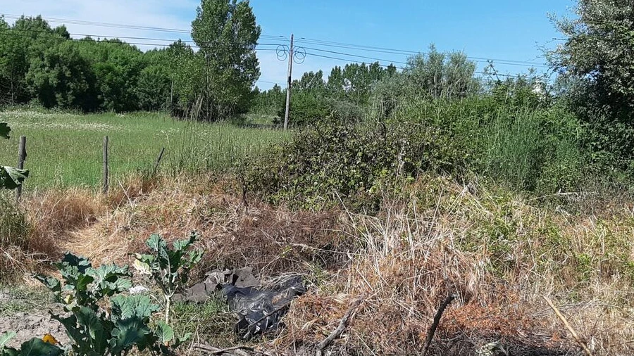 Terreno para Venda em Canas de Senhorim
