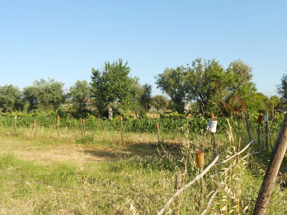 Terreno para Venda em Canas de Senhorim Foto 1