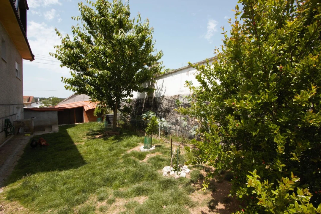 Moradia T3 para Venda em Queiriga Foto 40