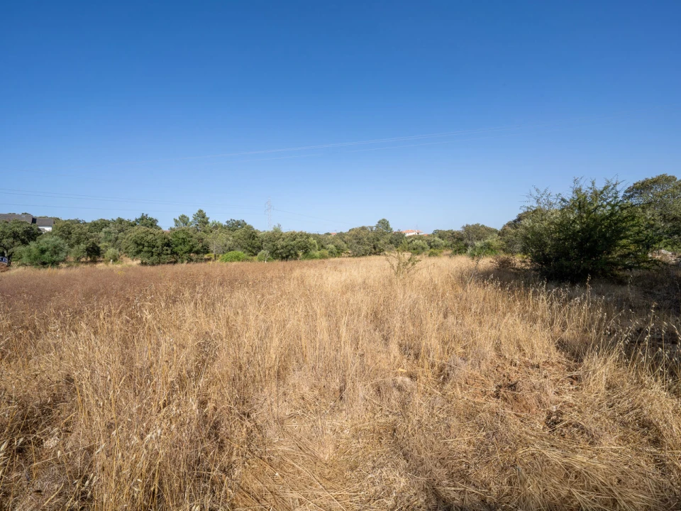 Terreno para Venda em Fatima Foto 2
