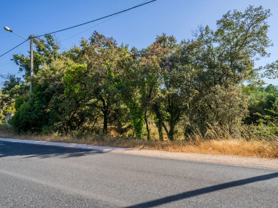 Terreno para Venda em Fatima Foto 3