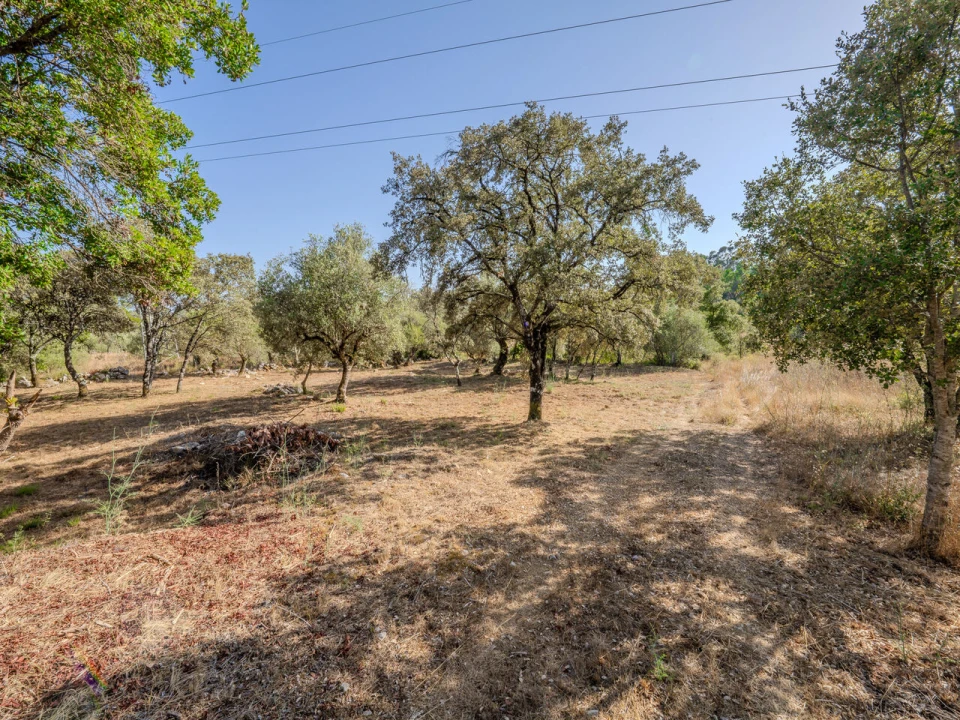 Terreno para Venda em Fatima Foto 5
