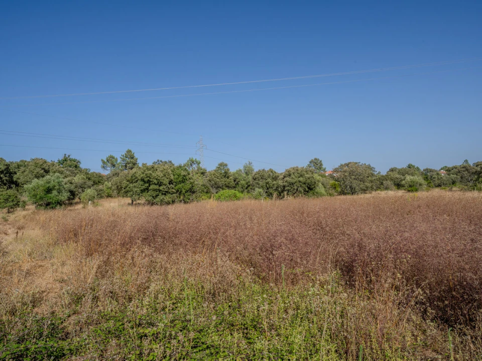 Terreno para Venda em Fatima Foto 9