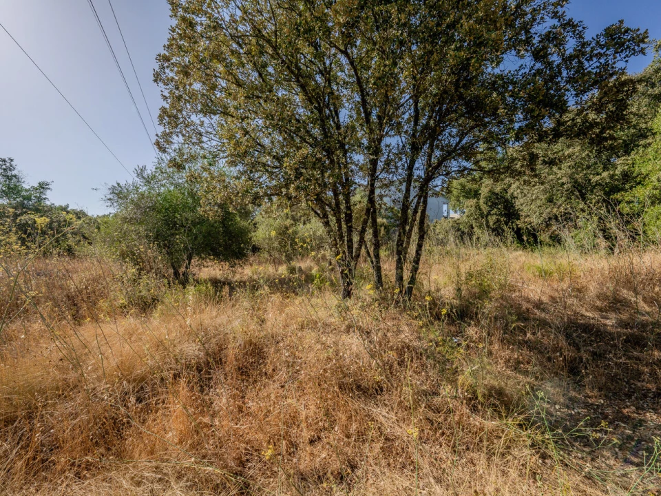 Terreno para Venda em Fatima Foto 13