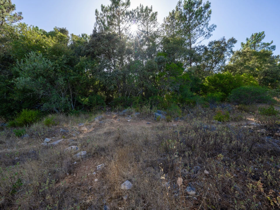 Terreno para Venda em Fatima Foto 18
