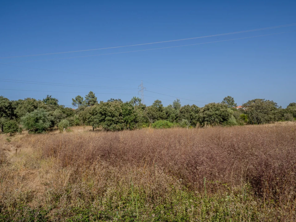 Terreno para Venda em Fatima Foto 22