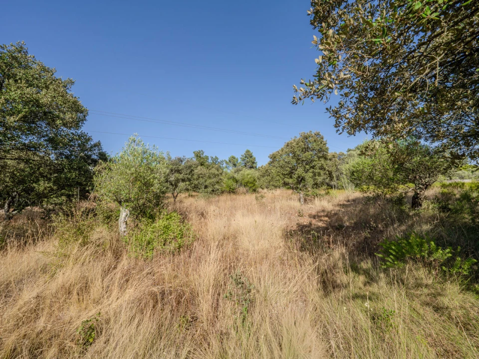 Terreno para Venda em Fatima Foto 27