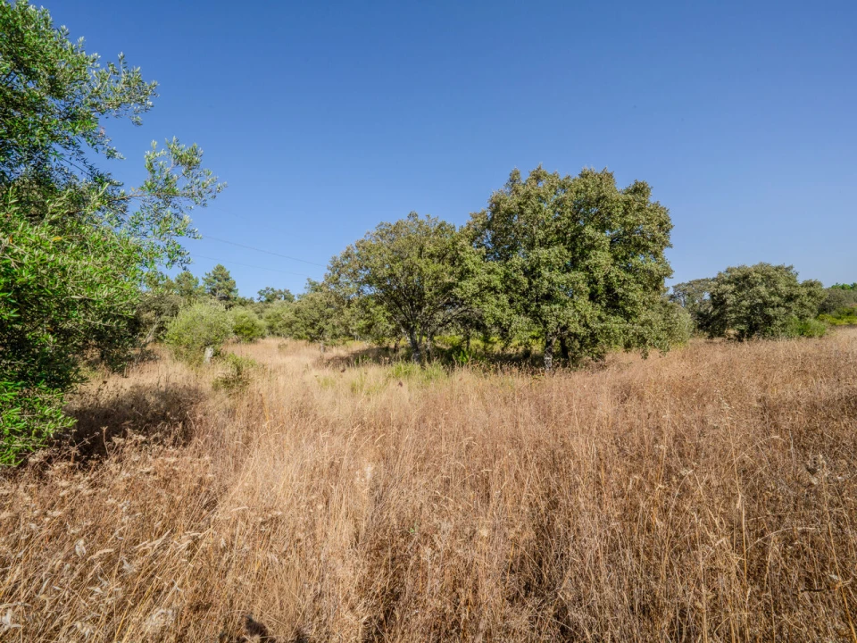 Terreno para Venda em Fatima Foto 28