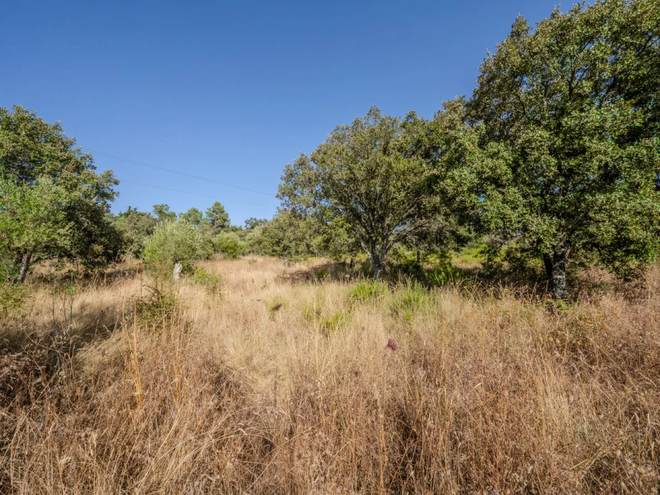 Terreno para Venda em Fatima Foto 29