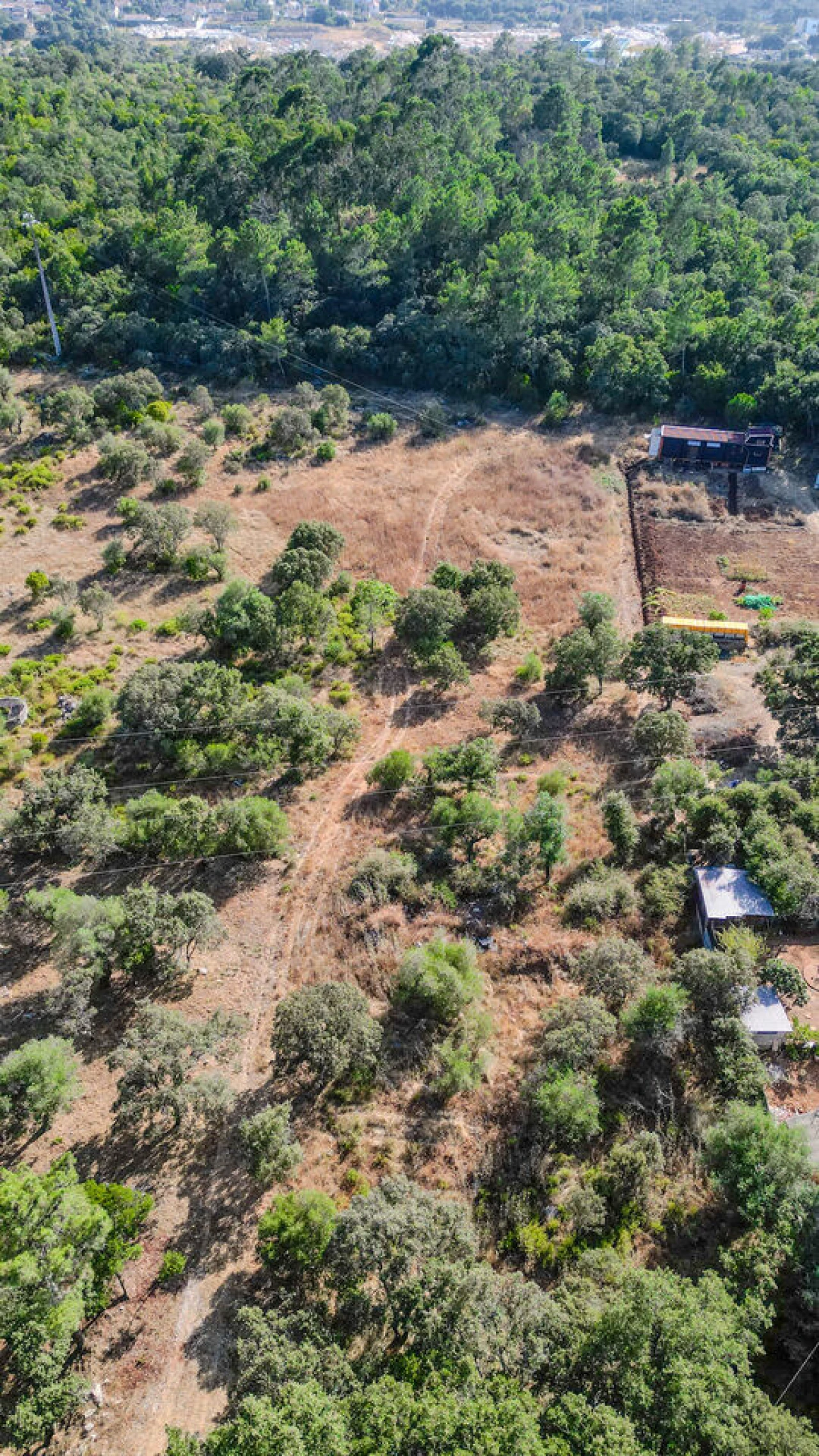 Terreno para Venda em Fatima Foto 23