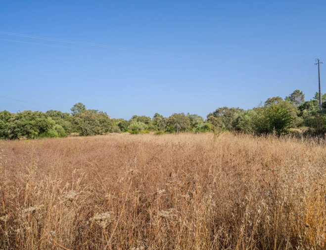 Terreno para Venda em Fatima Foto 1