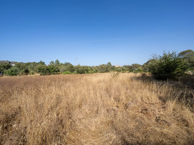 Terreno para Venda em Fatima Foto 2