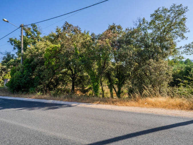 Terreno para Venda em Fatima Foto 3