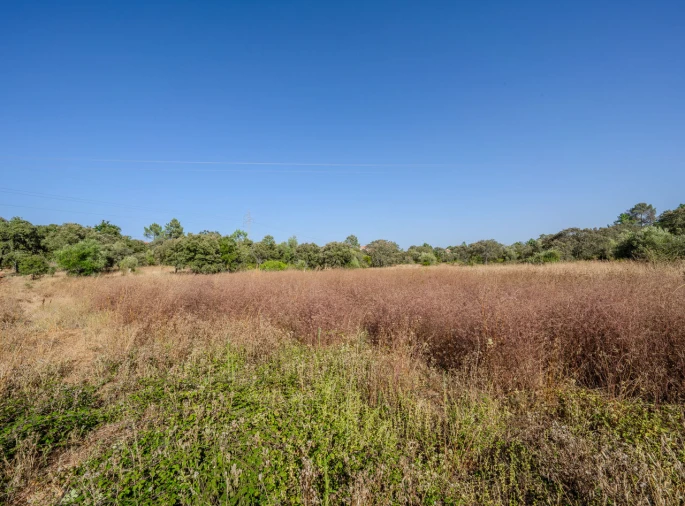 Terreno para Venda em Fatima Foto 4