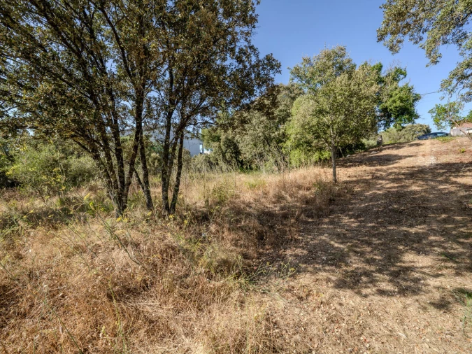 Terreno para Venda em Fatima Foto 6
