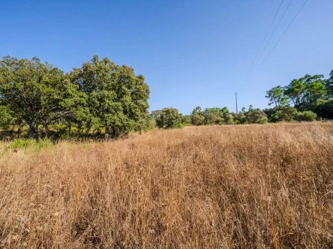 Terreno para Venda em Fatima Foto 8