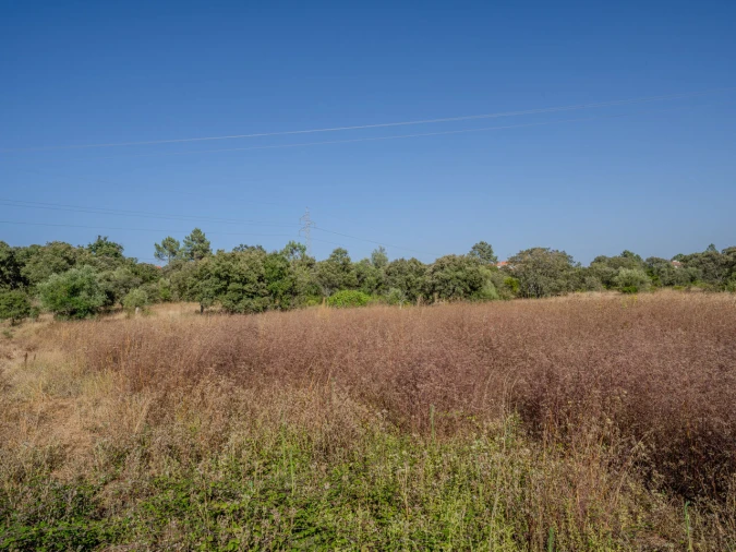 Terreno para Venda em Fatima Foto 9