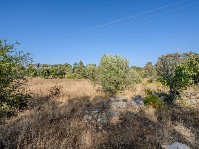 Terreno para Venda em Fatima Foto 12