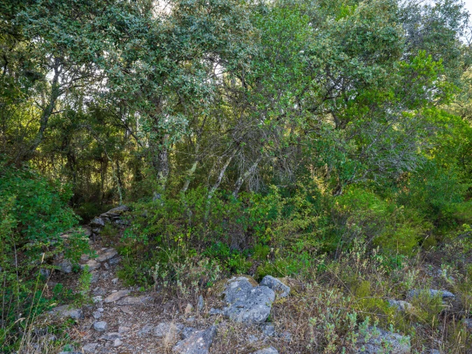 Terreno para Venda em Fatima Foto 15