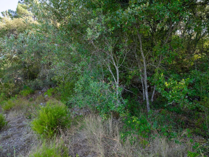 Terreno para Venda em Fatima Foto 16