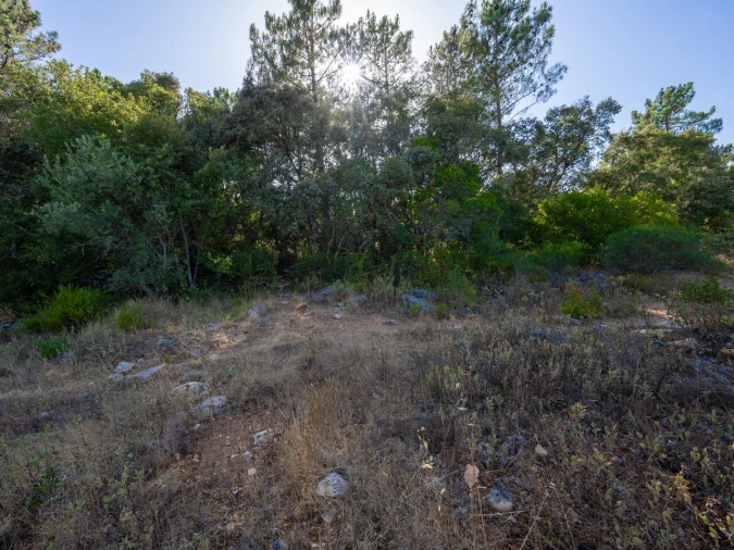 Terreno para Venda em Fatima Foto 18