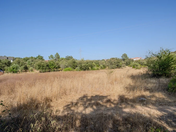 Terreno para Venda em Fatima Foto 19
