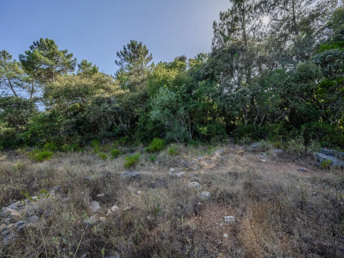 Terreno para Venda em Fatima Foto 20