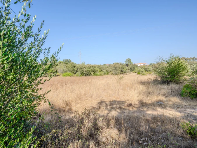 Terreno para Venda em Fatima Foto 21