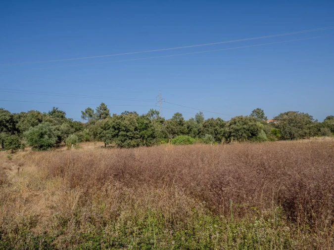Terreno para Venda em Fatima Foto 22
