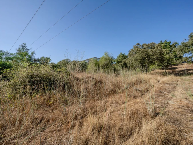 Terreno para Venda em Fatima Foto 25
