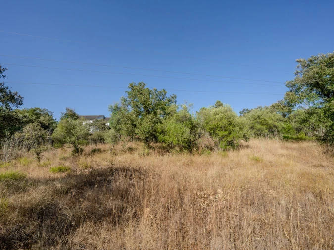 Terreno para Venda em Fatima Foto 26