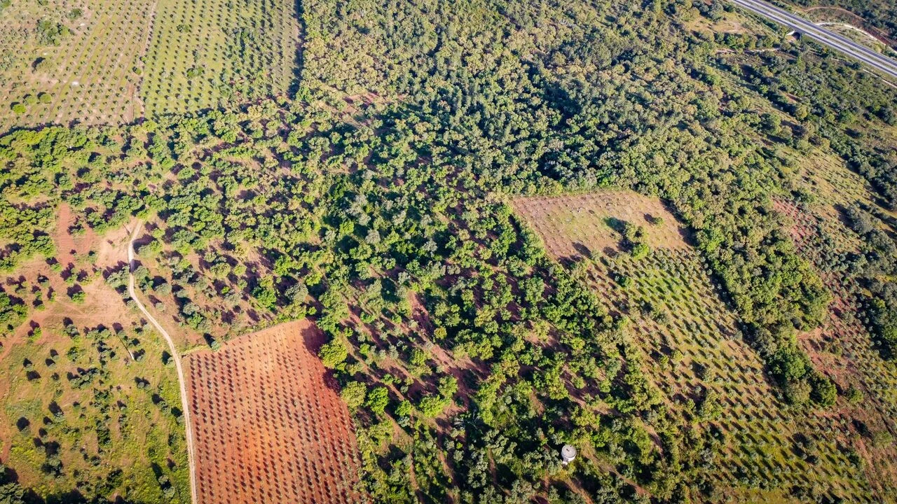 Quinta T15 para Venda em Evora Monte (Santa Maria) Foto 7