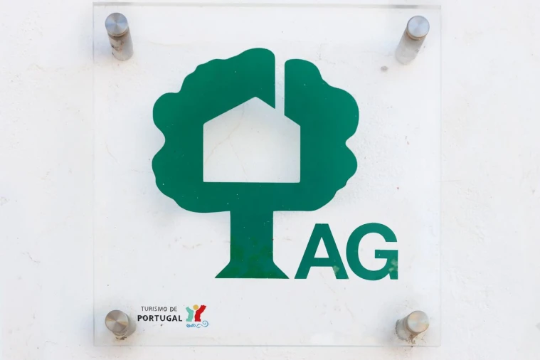 Quinta T15 para Venda em Evora Monte (Santa Maria) Foto 10