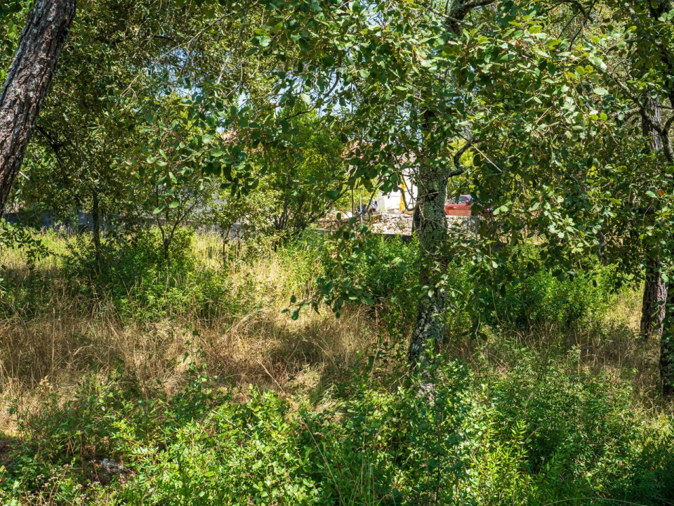 Terreno para Venda em Aljubarrota Foto 13