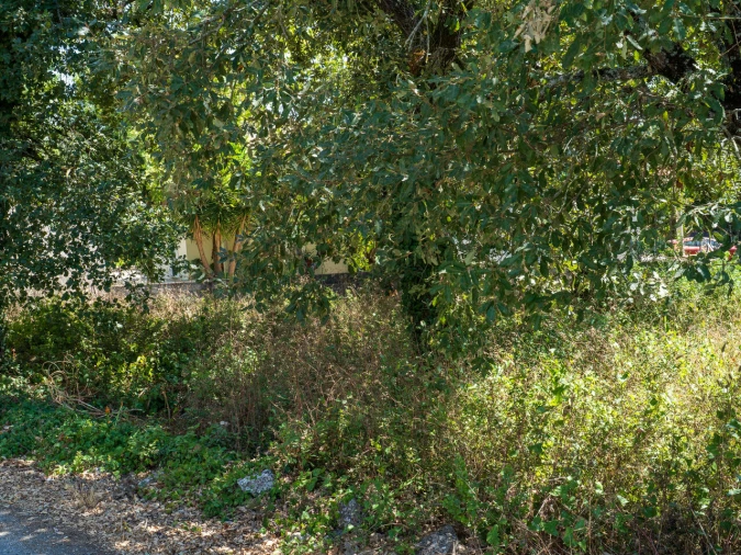 Terreno para Venda em Aljubarrota Foto 6