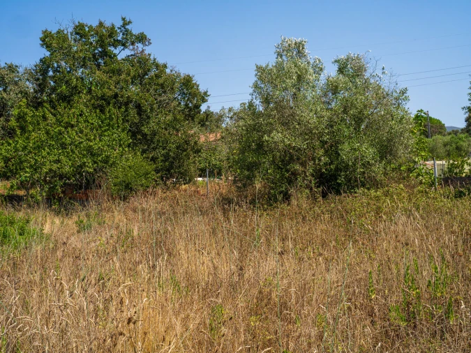 Terreno para Venda em Aljubarrota Foto 11