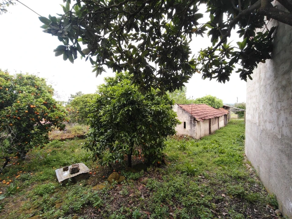 Moradia T5 para Venda em Chãos Foto 55