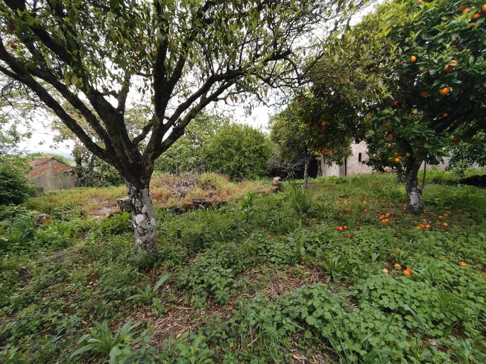 Moradia T5 para Venda em Chãos Foto 71