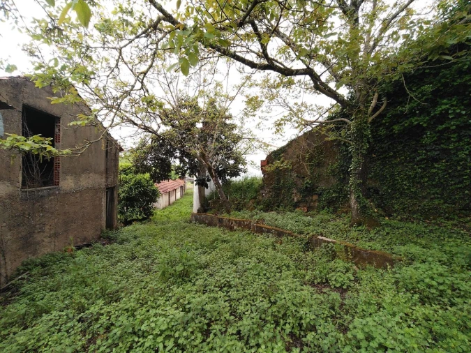 Moradia T5 para Venda em Chãos Foto 53