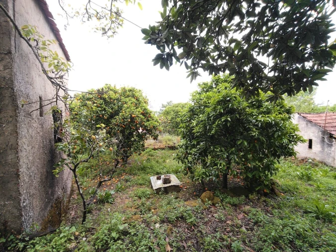 Moradia T5 para Venda em Chãos Foto 54