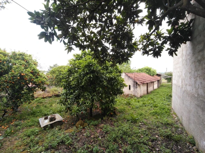 Moradia T5 para Venda em Chãos Foto 55